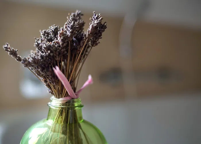 Pension&seminarhaus Haus Am Fluss Gasthof 4*